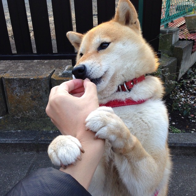 奥亚尔萨瓦尔,欧冠决赛之夜的隐形引擎