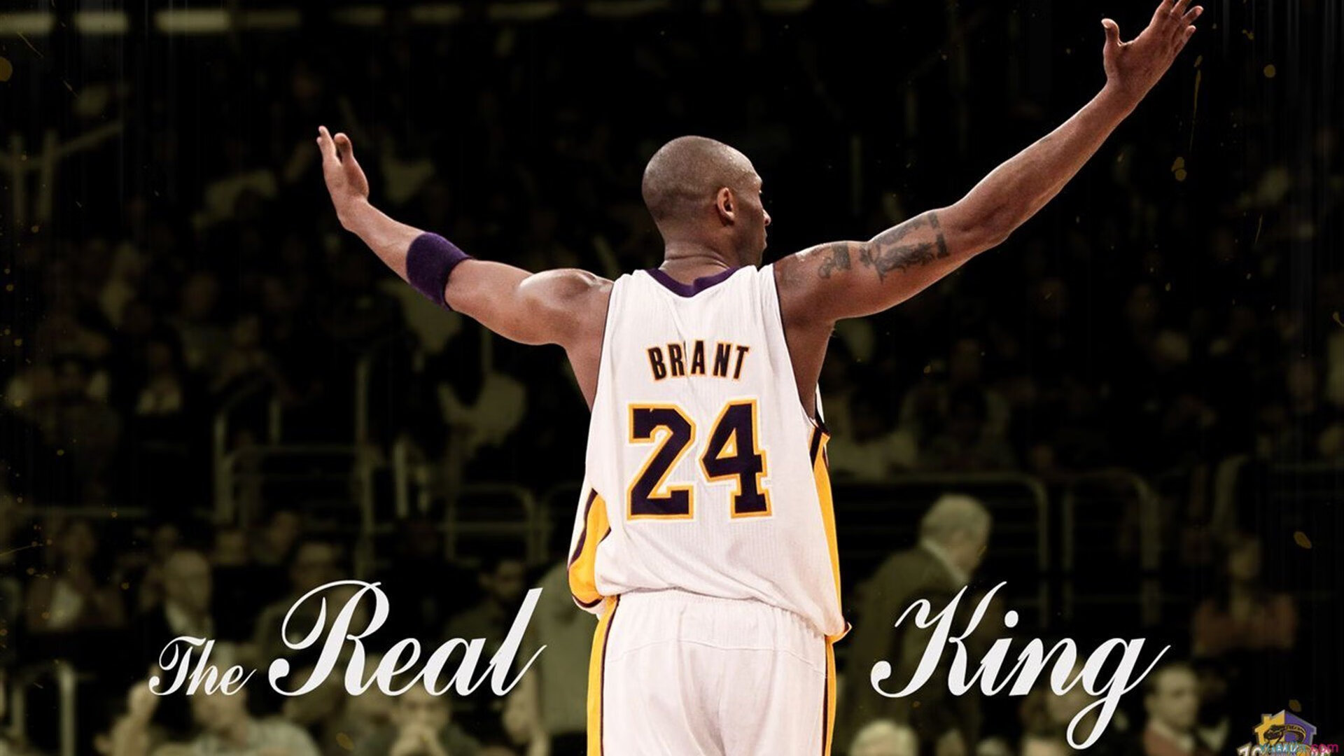 鹈鹕带走太阳,杰伦格林在F1年度争冠接管比赛